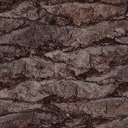 trunk5