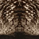 vegaspalm01_128