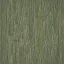 bthuja1