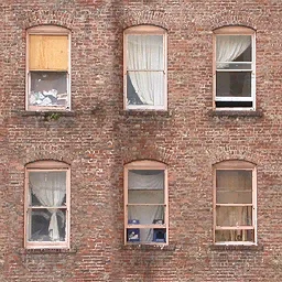 ws_apartmentmanky1