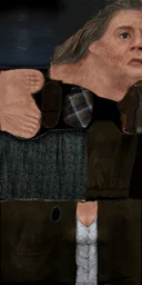 hfost