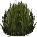 kbplanter_plants1