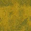 yellowscum64
