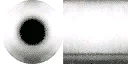 tat_roll1