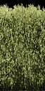 hedgealphad1