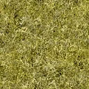 kickgrass