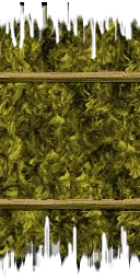 kmb_marijuana