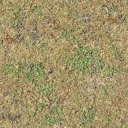 grassdeadbrn256