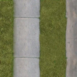 sidewgrass1