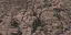 rockwall1_lod
