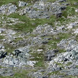 sw_rockgrass1
