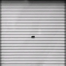 ws_garagedoor3_white