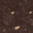 soil