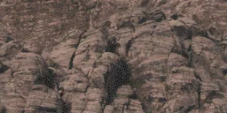 rockwall1_lae2