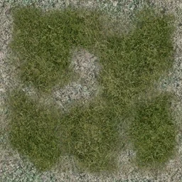 grasspatch_64hv