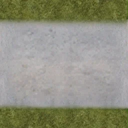 sidewgrass4