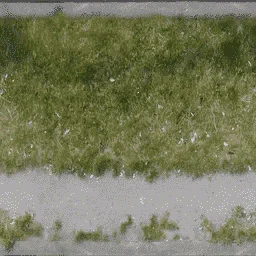 grasspave256