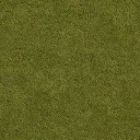 grassdry_128hv