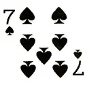 cd7s