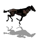 hrs8