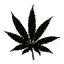 4weed