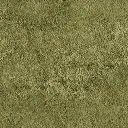 grass