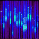 strip_neon_curtain