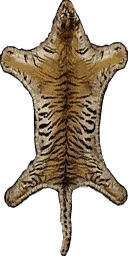 man_tigr_rug