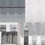 sjmlaelodf994