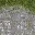 lod_newrockgrass_sfw