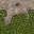 lodgrass128hv_blend_