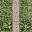 sf_garden3_lod