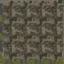 loda43_d