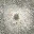 des_geyser
