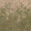 des_grass2dirt1