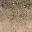 desstones_dirt1