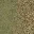 grassdead1blnd