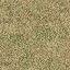 grassdeadbrn256