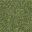 grasstype4
