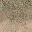 grasstype5_desdirt
