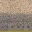 des_roadedge2lod