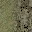 rocktbrn128blndlitlod