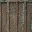 lod_was_sd