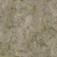 grass4dirtyb