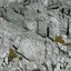 rocktq128