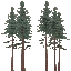 lod_redwoodgrp