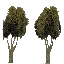lod_vegvbbigbrn