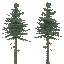 veg_largefurs06