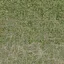 des_dirtgrassmix_grass4