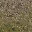 desertstones256forestmix
